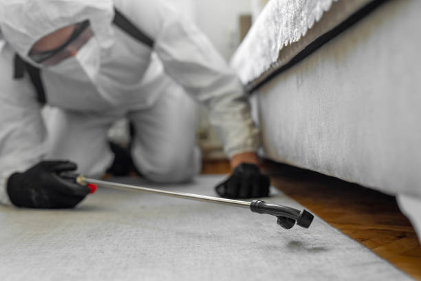 Professional Mosquito Control technician working in Panorama Village, TX
