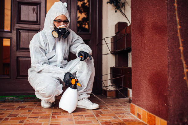 Reliable Mosquito Control contractor in Panorama Village, TX by Nex Pest Control