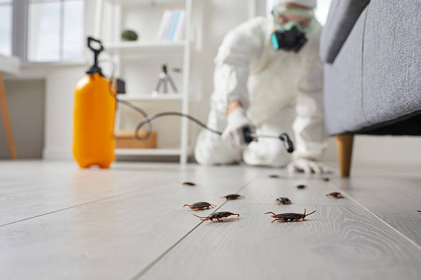 Trusted Cockroach Control service in Panorama Village, TX - Nex Pest Control