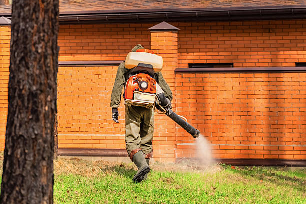 Trusted Emergency Pest Control service in Panorama Village, TX - Nex Pest Control